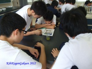 生物実験（５月４日）