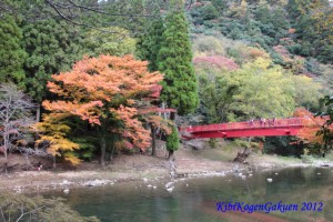 11/10宇甘渓(うかんけい)の紅葉