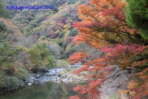 11/10宇甘渓(うかんけい)の紅葉