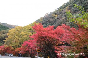 11/10宇甘渓(うかんけい)の紅葉