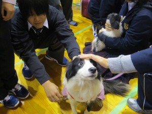 IMG_8821