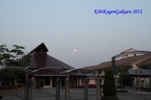 2_image3