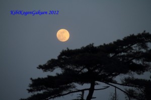 2_image6