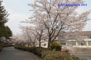 4/10 桜坂 4/10 桜坂