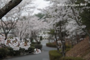 4/10 桜坂 4/10 桜坂