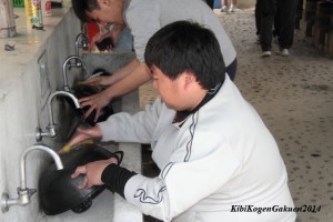 IMG_4807-E1C
