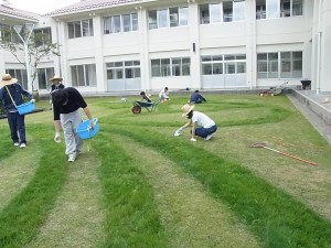 芝がくっきりと。