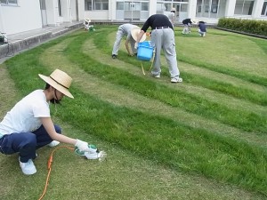 電動のバリカンでカットしている細かい作業も。