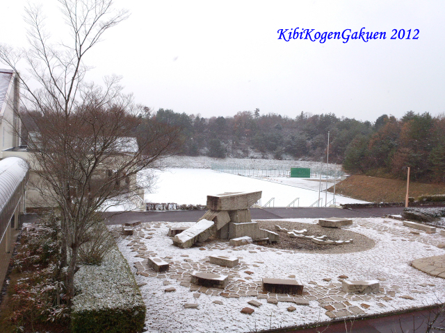 雪景色　１２／９（日）朝