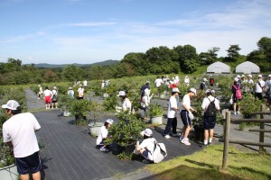 とても広いです。