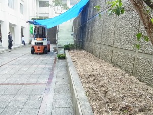 校舎棟１階の花壇。