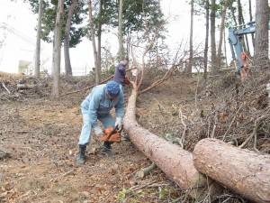 次は、分解。分解されたものはユンボで運び出されます。