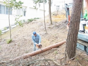 後ろに見えるのは共用棟。