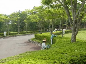 校舎玄関から正門方向。