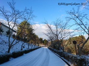 １２月１４日積雪