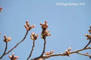 桜坂南面実習棟口西２番-IMG_2535-E1C