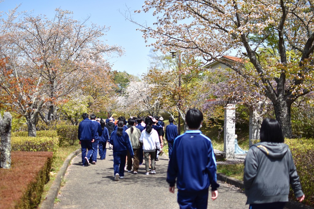 町内にはまだ桜が残ってる!
