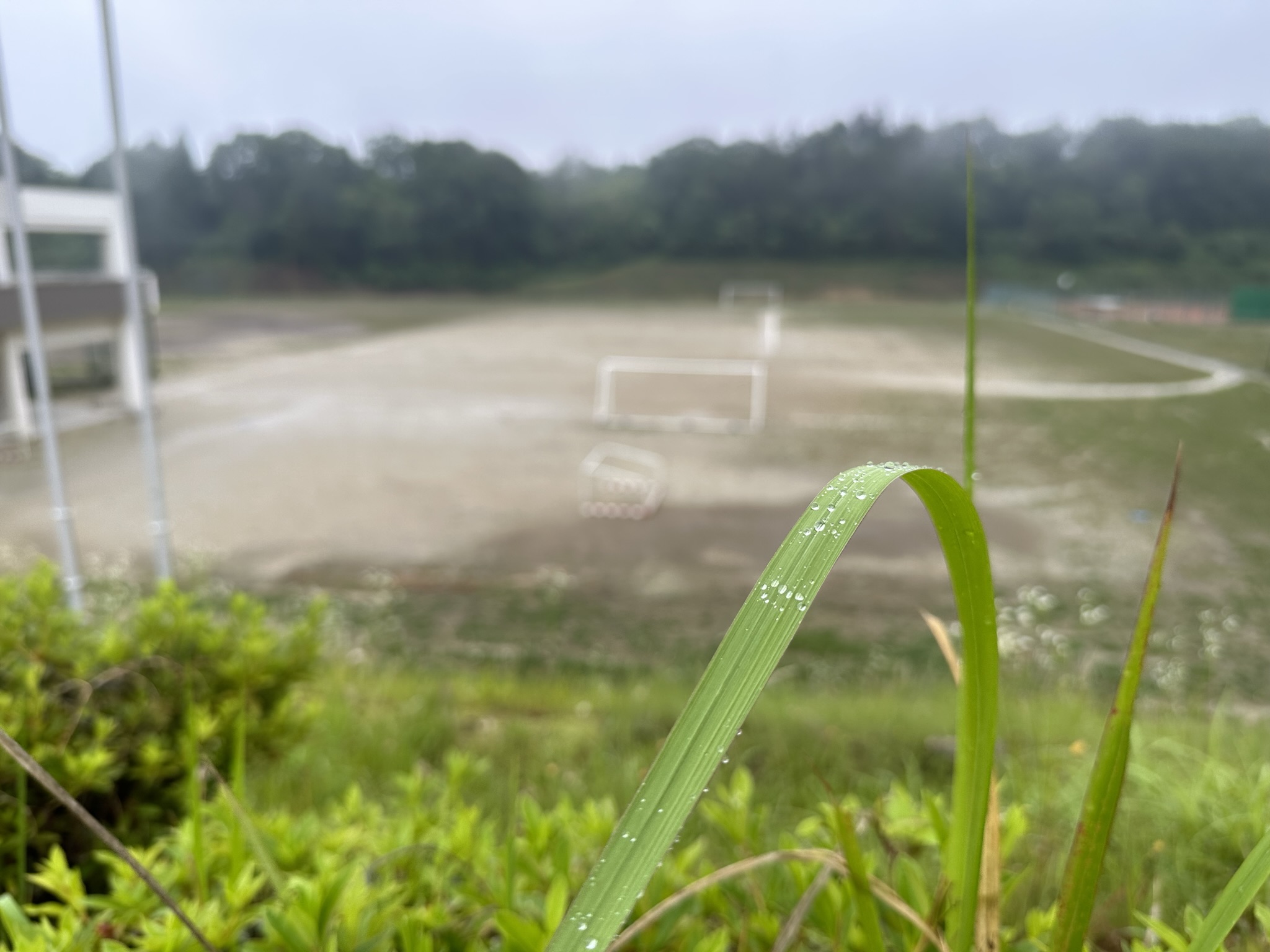 今日はこれから雨が強くなる予報です
