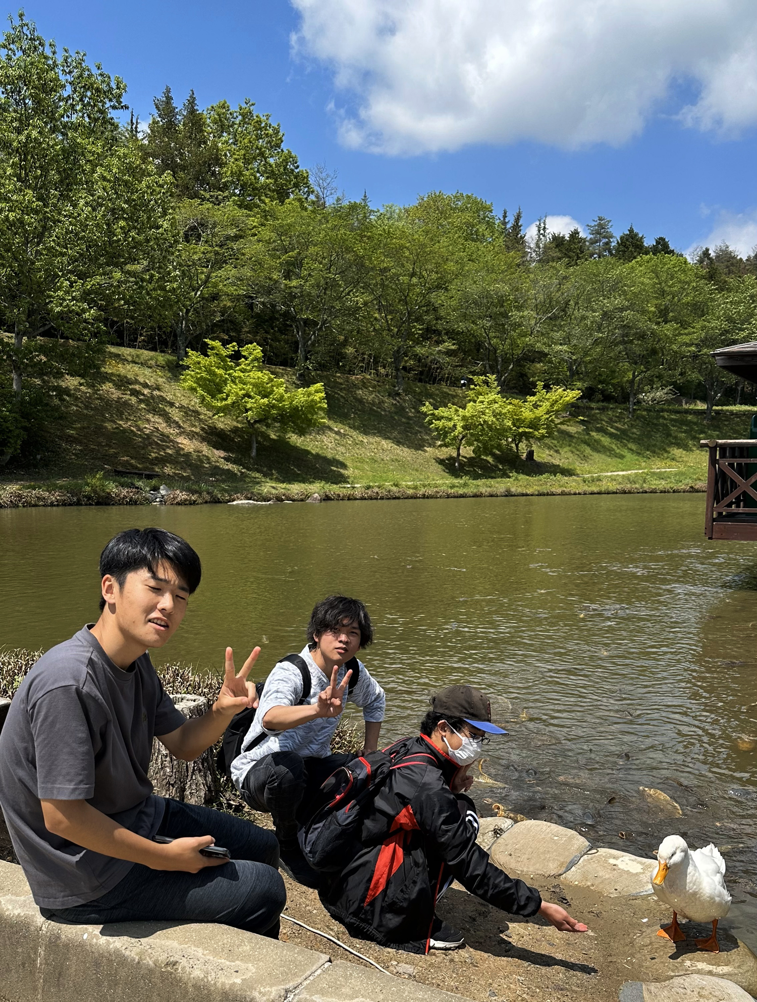 池のコイに餌をあげていたら彼が上陸してきました!