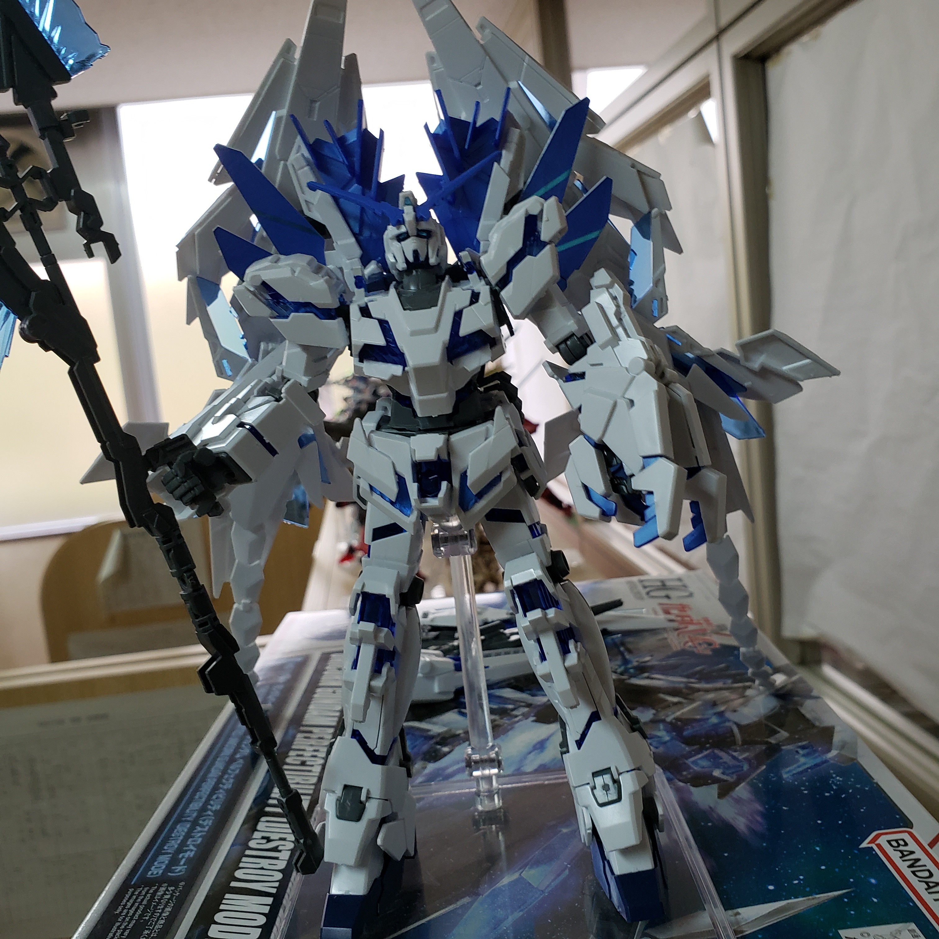 20241016_085445
