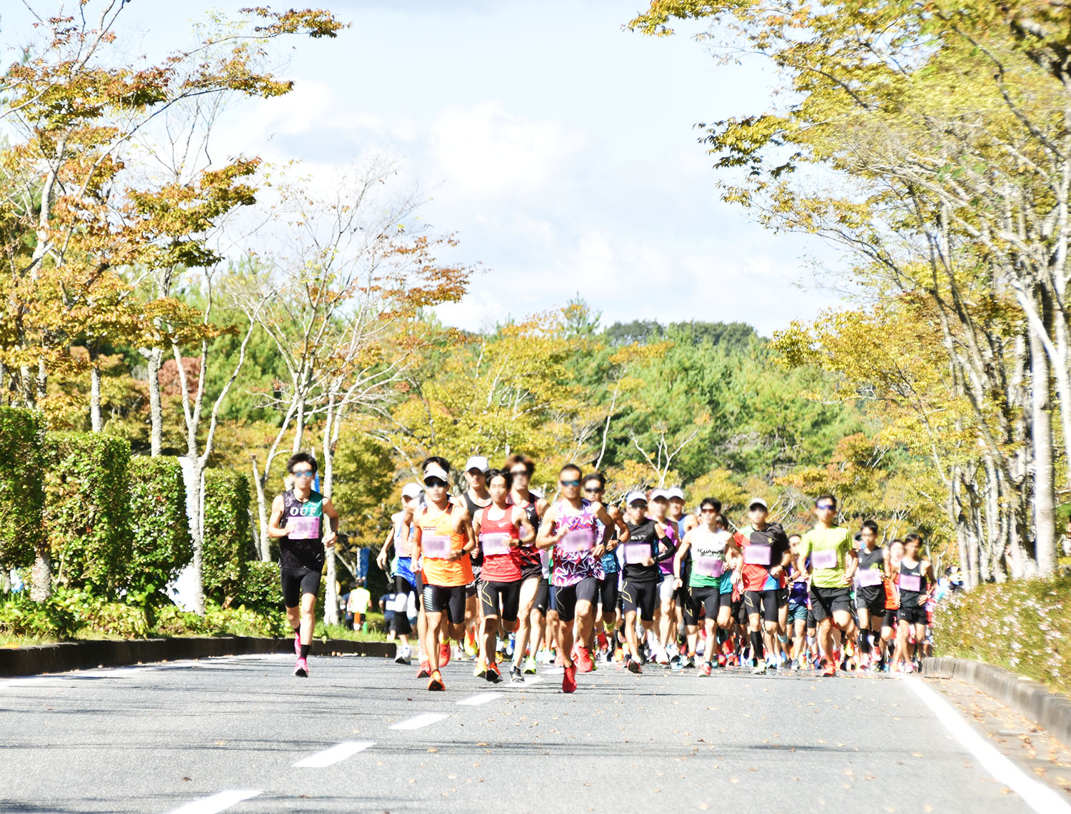 続いて「ハーフマラソン」の先頭集団がやってきました!こちらも凄い気迫です!