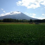 DSC_0516.JPG