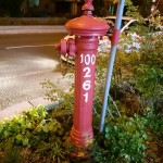 DSC_0594.JPG