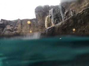 image3_13.JPG